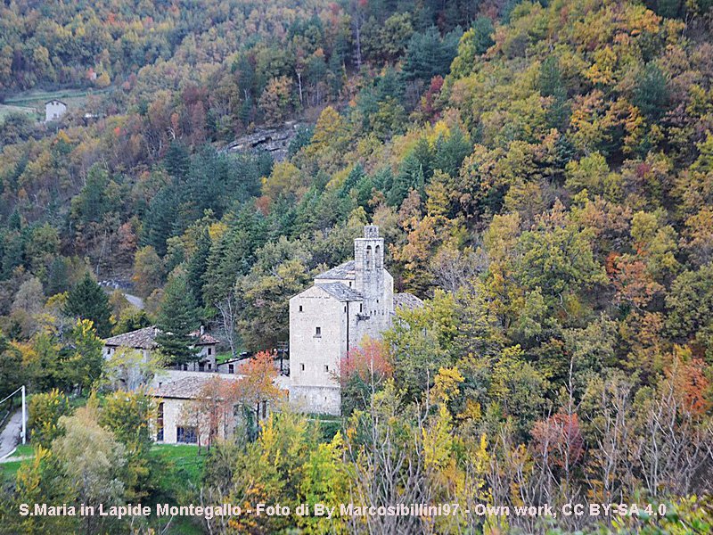 Scopri tutte le strutture in  Montegallo