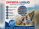Offerta Luglio