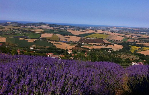 Panorama-BB-L'Infinito-Monbaroccio-PU